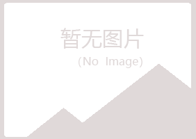 偃师白易材料有限公司